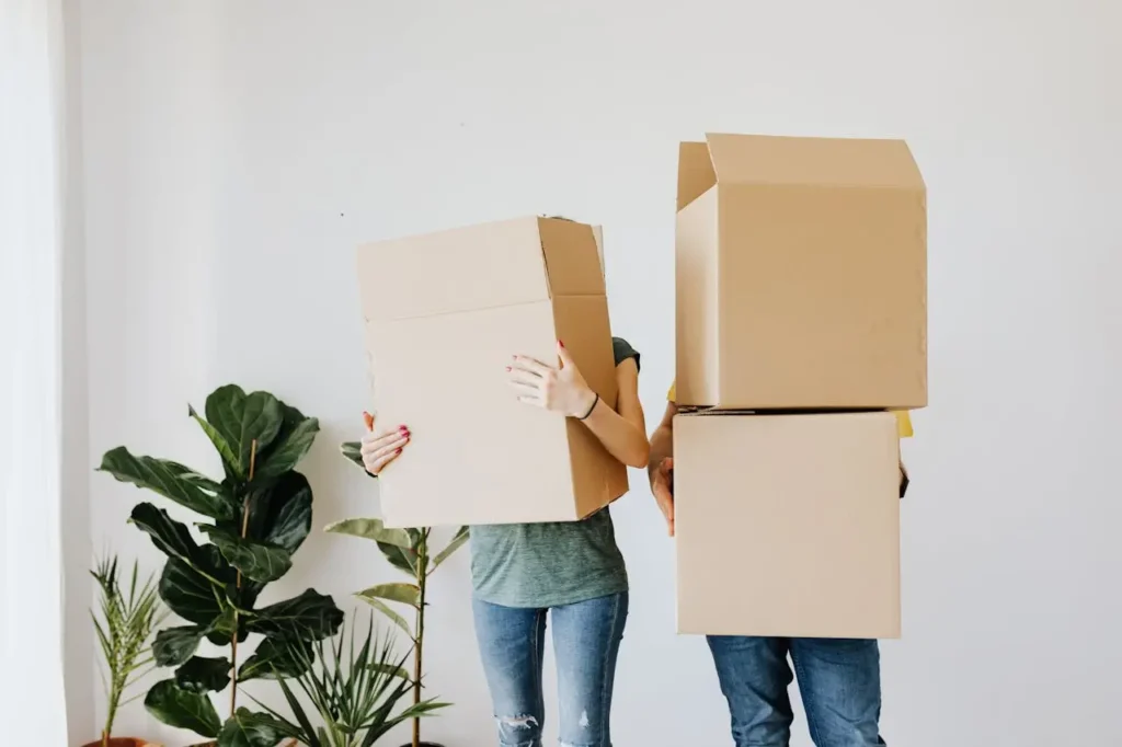 kenali jenis karton box untuk kemasan